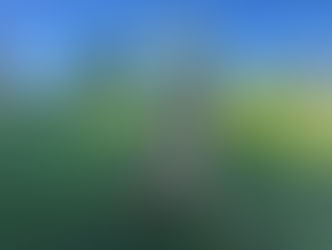 Charlie | Golden Retriever | Riverside | In - Training