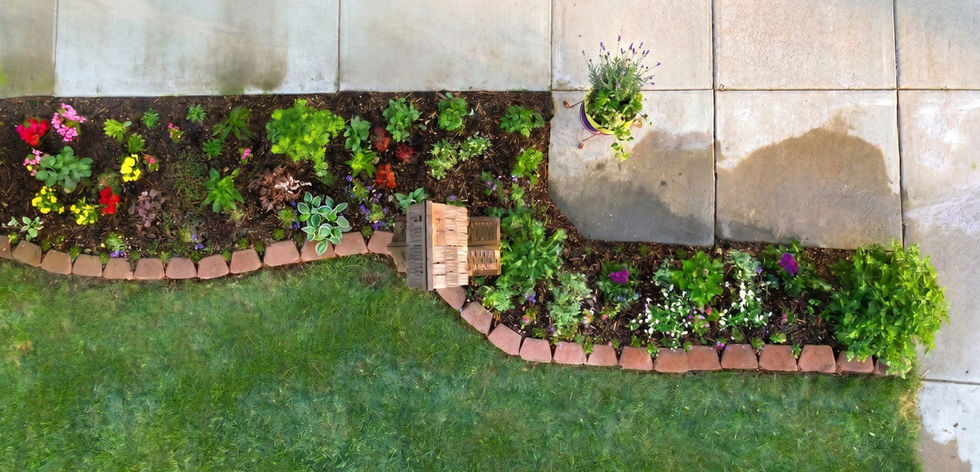 Shade bed planted aerial.