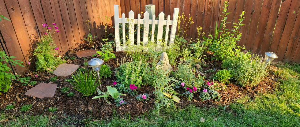 Finished partly sunny corner bed.