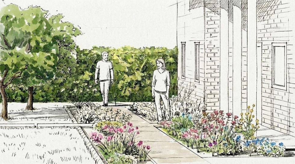 ink sketch of front yard