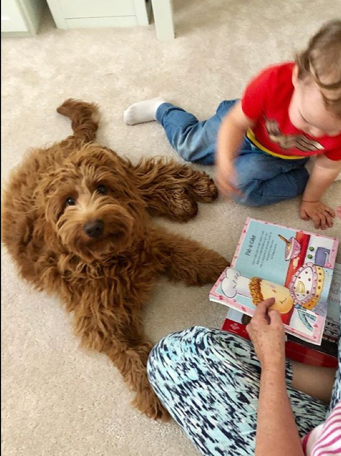 thumbnail_IMG_0499 (2)