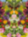 Colorful collage of flowers and butterflies around the urban Gill Tract Community farm.