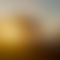 Pines Party: A Celebration Like No Other