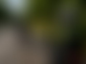 Änderungen bei der Führerprüfung Motorrad A und A  <35kW und ihre Auswirkungen auf die Praxis