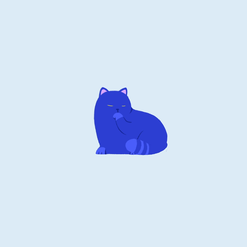 colored-cat_square.GIF