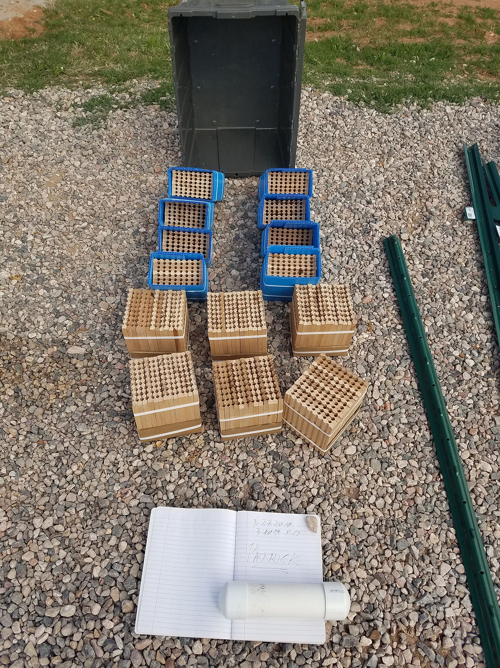 The Road to Cornville