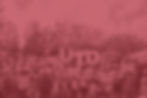412H8841_edited.jpg