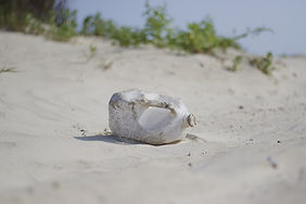 Misc_Gallon.jpg