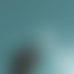 Protecting Your Investments