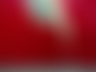 Investor Mindsets : A Quick Overview