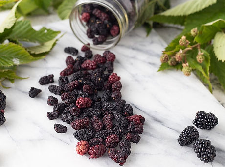 dehydrated blackberry, بلاك بيري المجفف, 脱水黑莓, mûre déshydratée, amora desidratada, обезвоженная