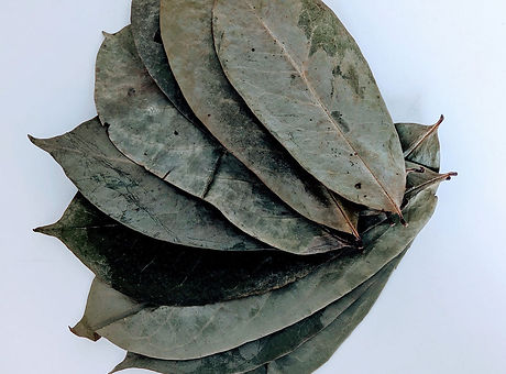 أوراق مجففة, dehydrated leaves, 脱水叶子, обезвоженные листья, folhas desidratadas, feuilles déshydratée