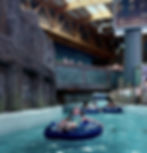 721a4c_366c1760a9c3477d812720e8c2963df2~mv2