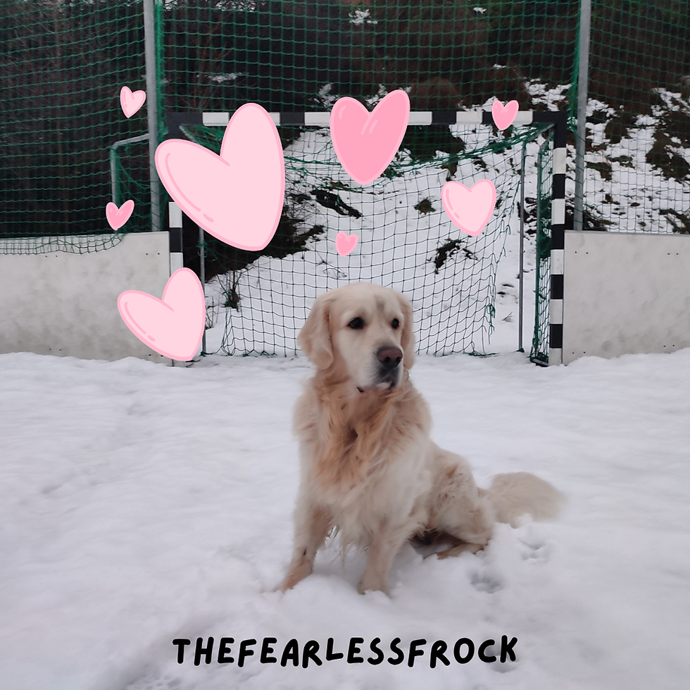 a Golden Retriever is sitting on a snowy football field