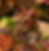 4E02C4DF-541A-44BB-9924-F6008D6A9B6A.PNG