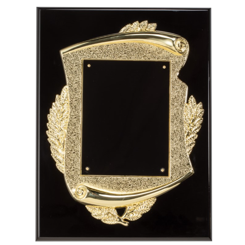 Casting Series Black Piano Finish Plaque with Gold Frame | 3 Sizes