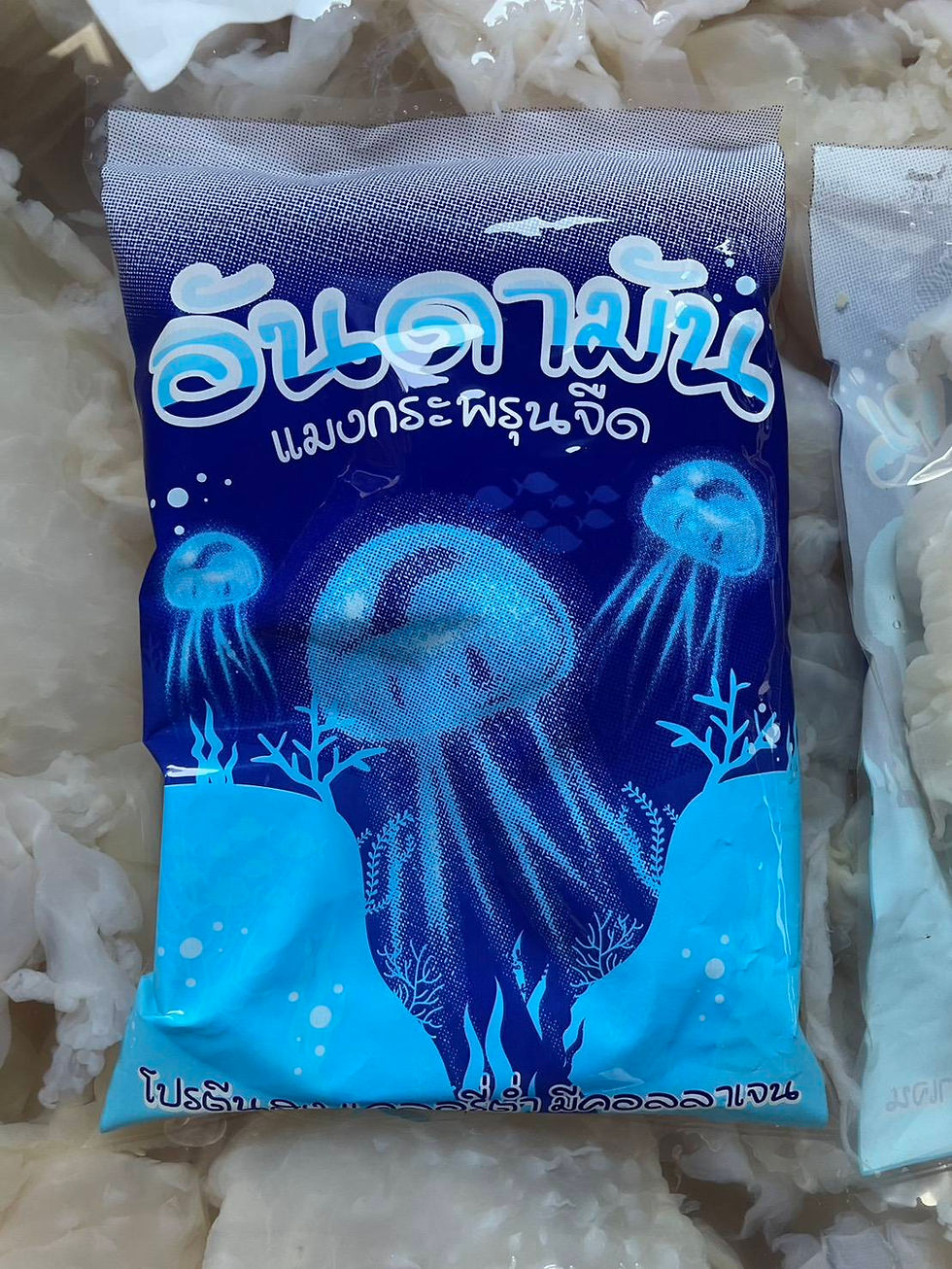 ภาพขนาดย่อ: กระพรุนจืด Jellyfish 35-55฿