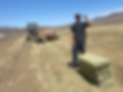First Bale 2025.HEIC