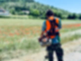 ACI (3)_edited.jpg