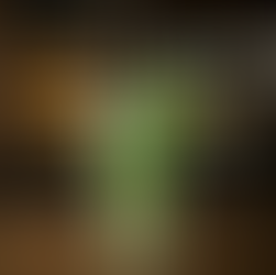 Mojito (Mohito ) Nedir?