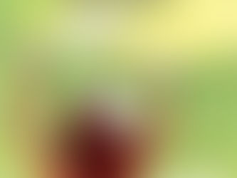 Salon du livre "Plumes à connaître" à Maizières-les-Metz.