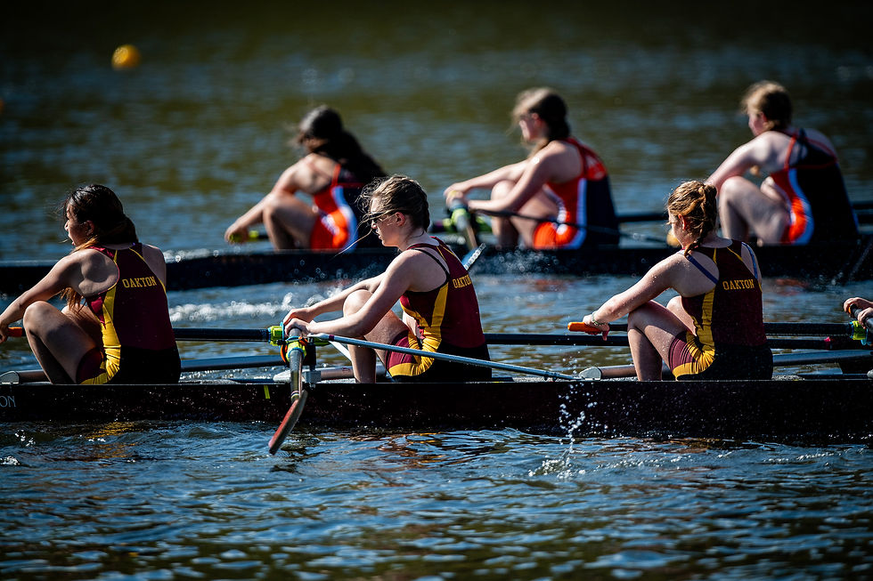DSC_6855 copy-X4.jpg