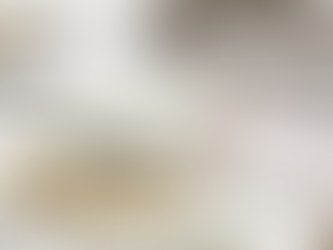 Krystie Bremer - Australian Institute of Company Directors (AICD) Course