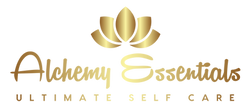 Color logo - no background.png