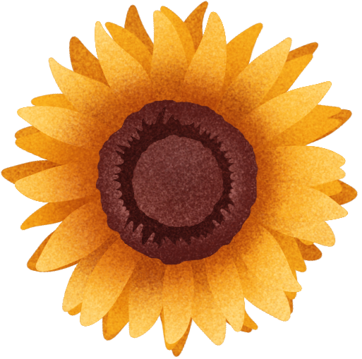girasol_edited.png