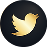 RS Twitter png.png
