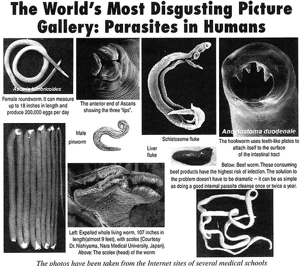 Parasites