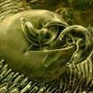 Parasites