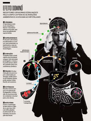 A fisiologia do estresse