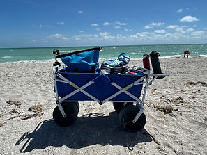 IMG_0899_edited.jpg
