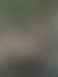 While on a Gator Hunt