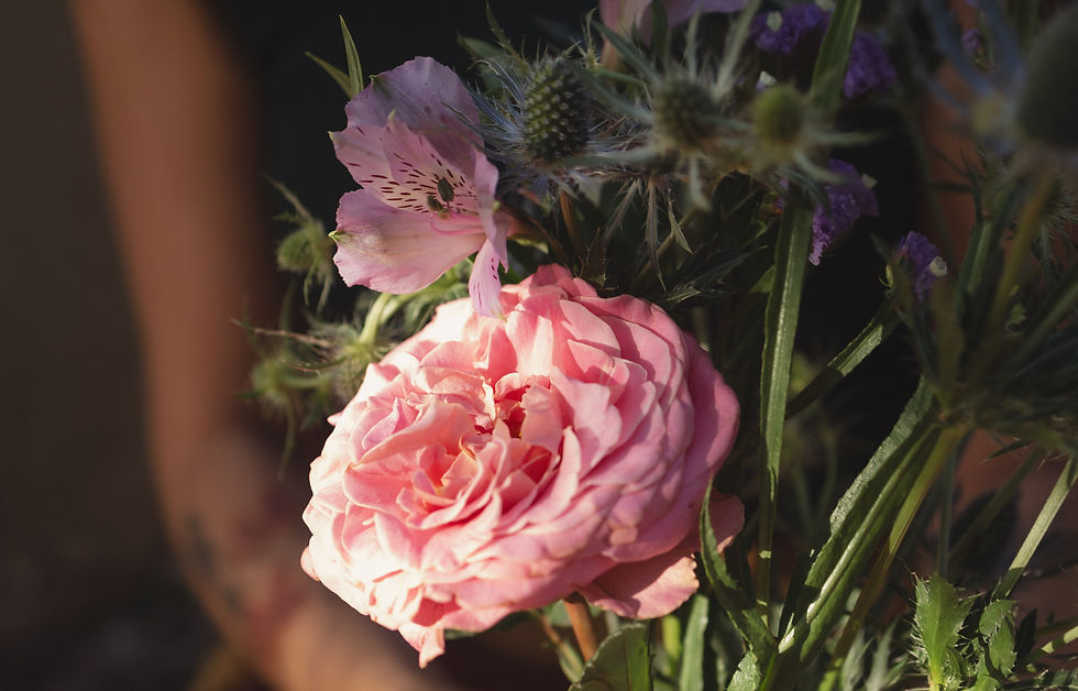 BF_imagem de marcação_02.jpg