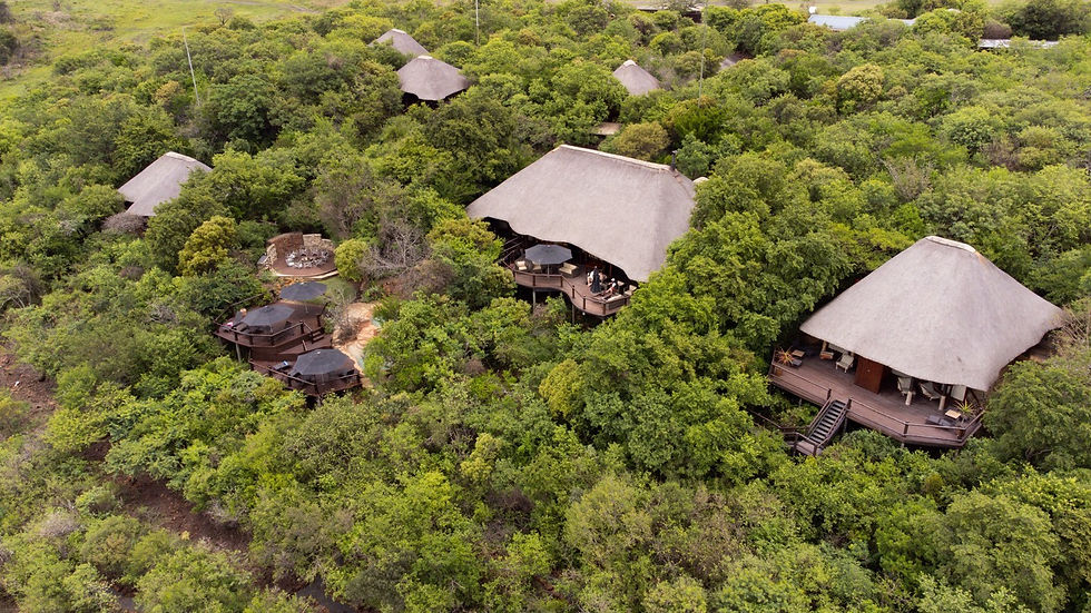 elephant-rock-lodge-nambiti-game-reserve-bookings-best-rates-and-special-price-offers-bush.jpg