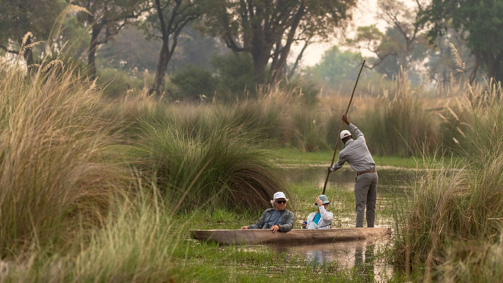 north-island-okavango-special-7.jpg
