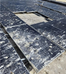How to Protect Your Solar Panels From Birds