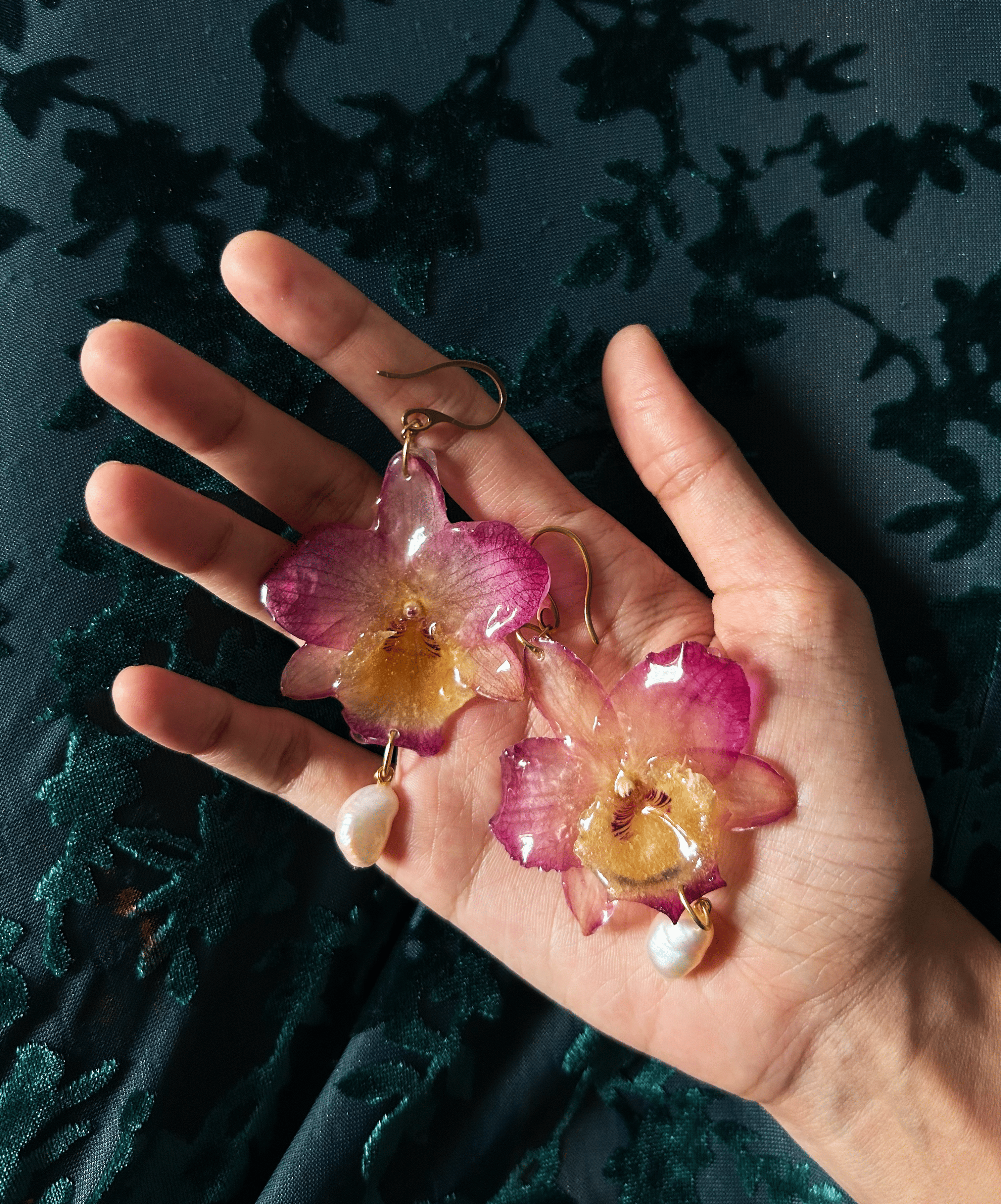 𝖨 <3 𝖮𝗋𝖼𝗁𝗂𝖽
