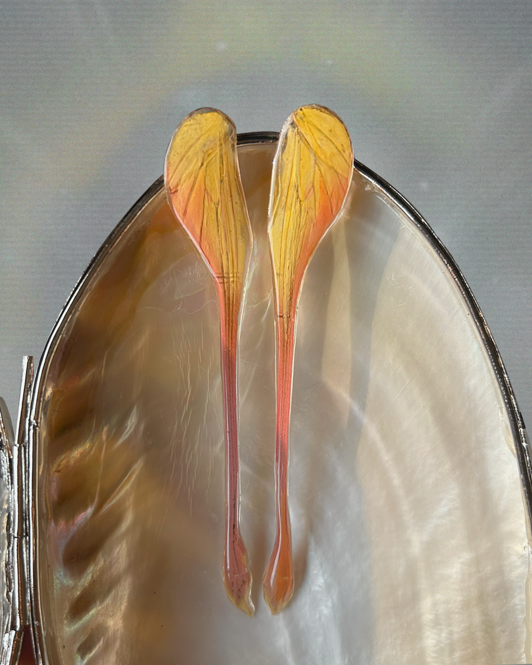 π πΌπππΊπ π£ππ»πΎπππΊππ½π