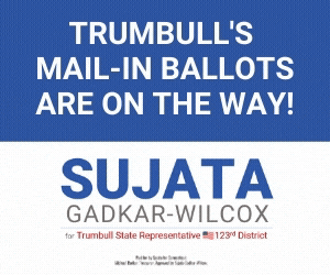 300 x 250 Sujata Banner 4.gif