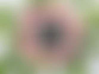 Pourquoi est-ce si difficile de tenir ses bonnes résolutions ? Et surtout, comment faire pour les ancrer dans notre réalité ?