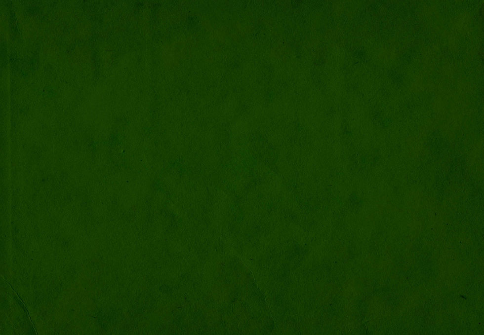 bg5.jpg