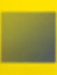 yellow 2022.jpg