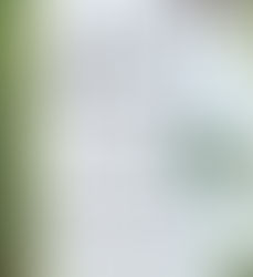 Just Mercy: A Story of Justice and Redemption