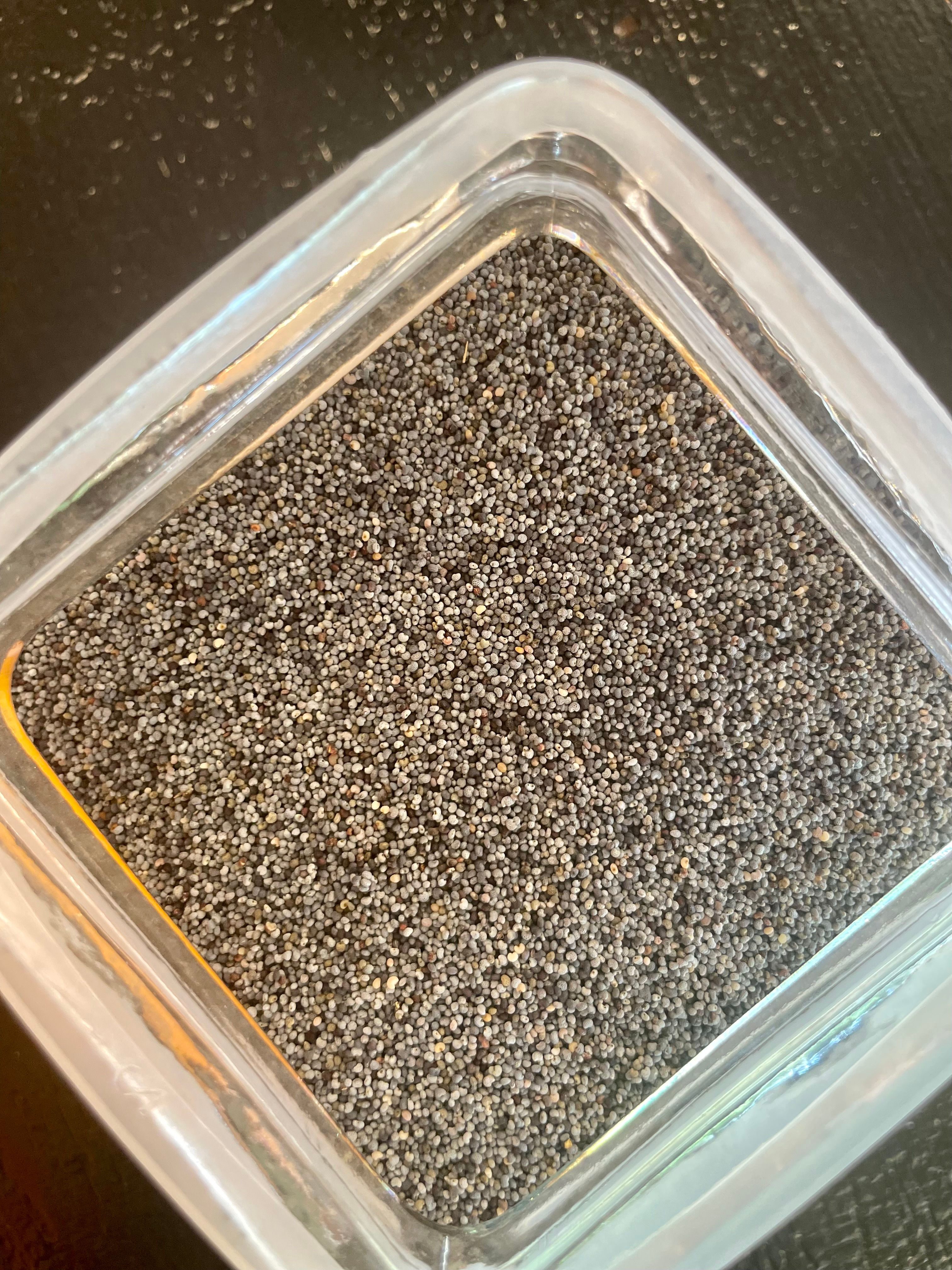 Graines de pavot bio