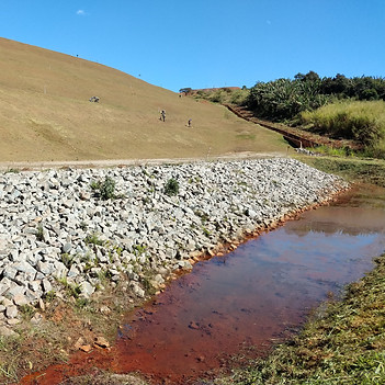 Wetlands Construídos | Remoção de metais