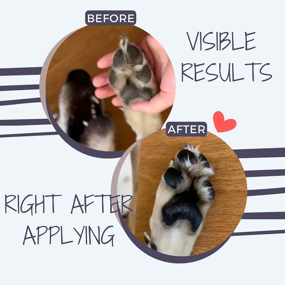 Thumbnail: Natural Nose & Paw Cream 30 ml