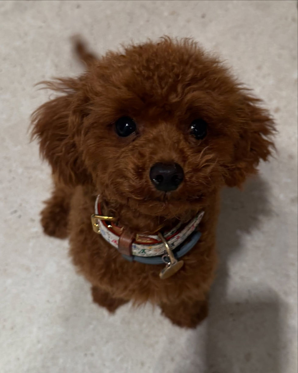 Group training session / Sitges               